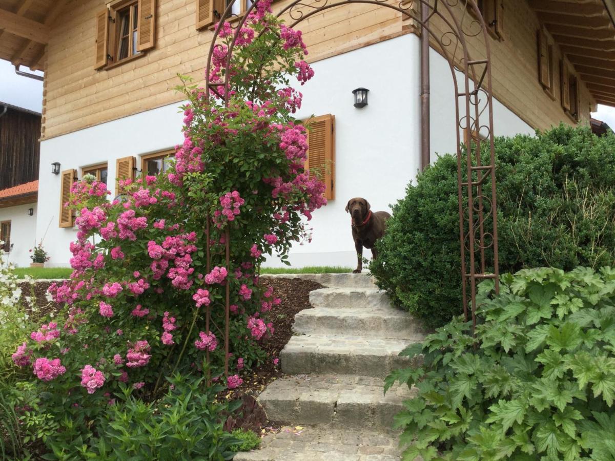 Ferienwohnung Am Dreiseithof ハウツェンベルク エクステリア 写真